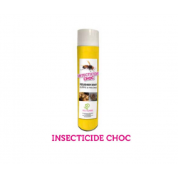 Insecticide choc foudroyant