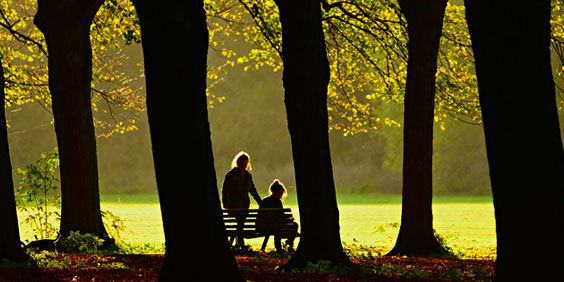 foret-banc-gv.jpg
